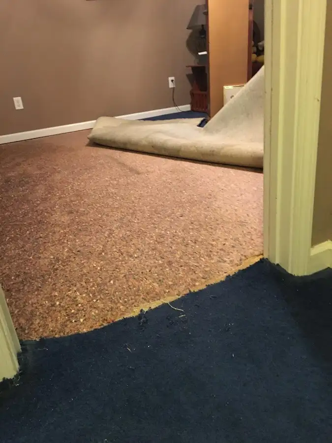 Carpet pad removal revealing water damage during Water Mitigation Services in Northport