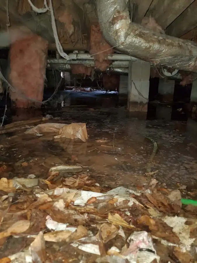 Crawl space flood assessment for Commercial Water Damage Restoration in Northport